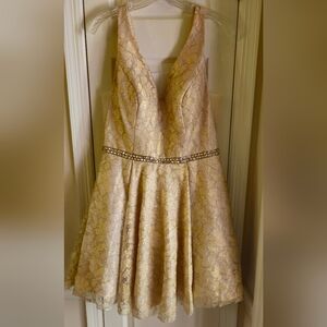 Ed Young Champagne & Shimmery Gold Lace Fit & Flare Short Party Dress- Size XL